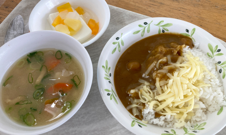 琉球大学の中央食堂でカレー・味噌カツ丼・豚汁・パンナコッタを食べてきた